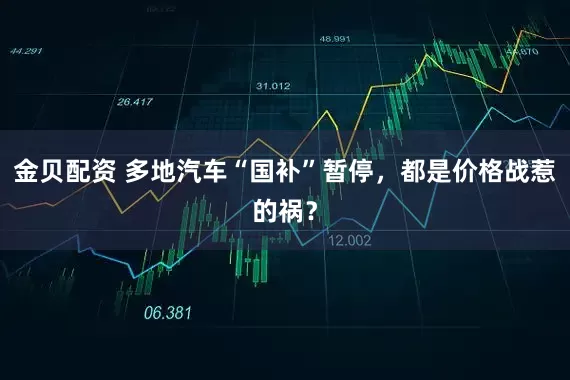 金贝配资 多地汽车“国补”暂停，都是价格战惹的祸？