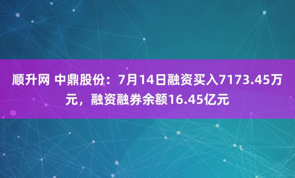 顺升网 中鼎股份:7月14日融资买入7173.45万元,融资融券余额16.45亿元