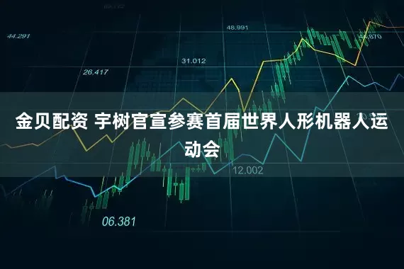 金贝配资 宇树官宣参赛首届世界人形机器人运动会