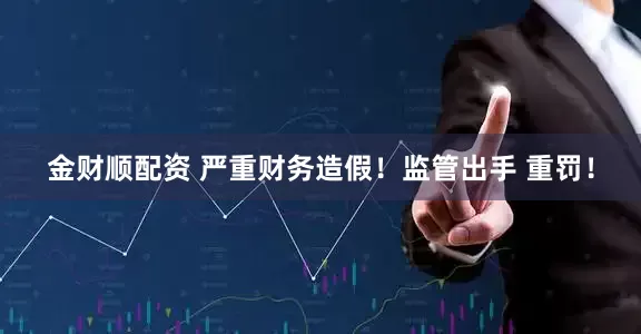 金财顺配资 严重财务造假!监管出手 重罚!